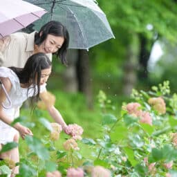 Mother and daughter holding umbrellas on a humid rainy spring day smelling the flowers.